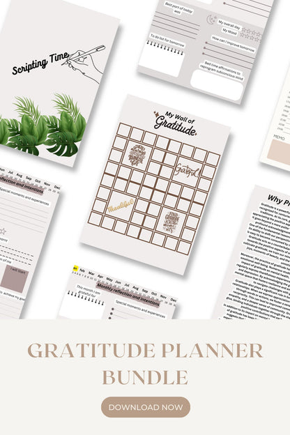 Digital Gratitude Journal. Mindfulness Practice journal ,Digital Daily Journal compatible with Good notes and Notability, Daily planner